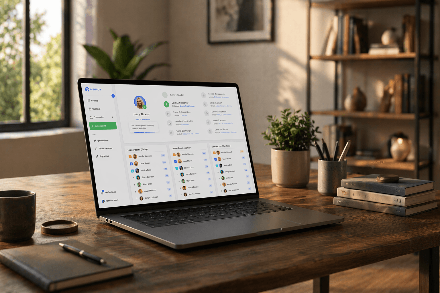 Interactivity levels and incentives
